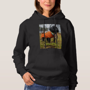 Proud Poodle Hoodie