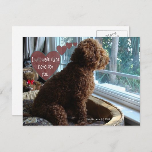 Proud Poodle - Missing You - Postcard Postkarte (Vorne/Hinten)