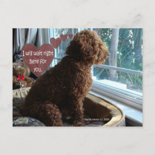 Proud Poodle - Missing You - Postcard Postkarte