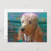 PROUD POODLE POSTKARTE (Vorne/Hinten)