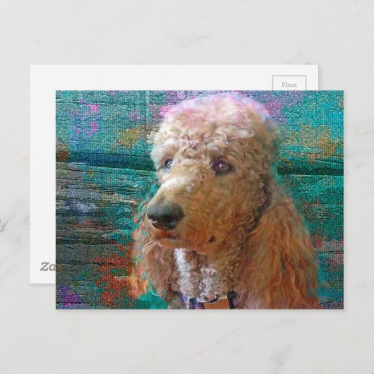 PROUD POODLE POSTKARTE (Vorne/Hinten)