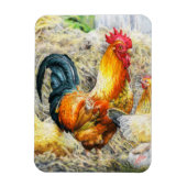 Proud Rooster Magnet (Vertikal)