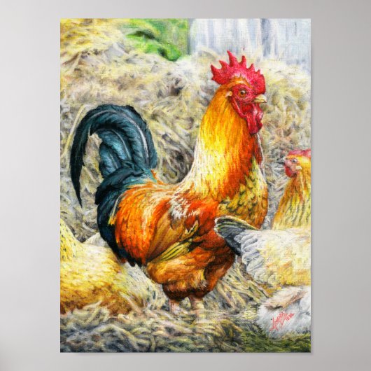 Proud Rooster Poster (Vorne)
