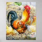 Proud Rooster Poster (Vorne)