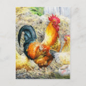 Proud Rooster Postkarte (Vorderseite)