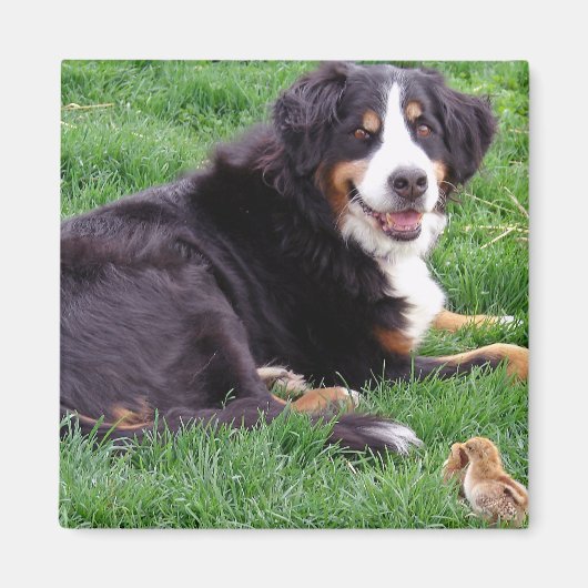 Proud Serena Magnet (Vorne)