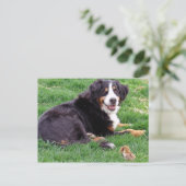 Proud Serena Postkarte (Stehend Vorderseite)