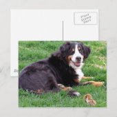 Proud Serena Postkarte (Vorne/Hinten)