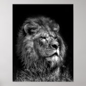 Proud Young Lion Poster (Vorne)