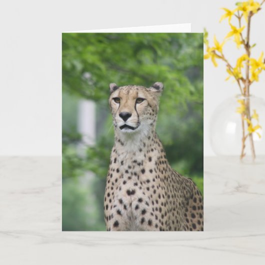 ProudCheetah Karte (Gelbe Blume)