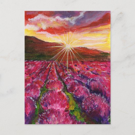 Provance Pink Lavender Field France Feiertagspostkarte (Vorderseite)