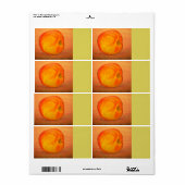 Provence Apple (Vorne)