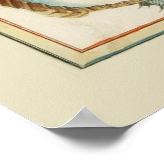 Provence Carte Poster (Ecke)