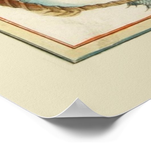 Provence Carte Poster (Ecke)