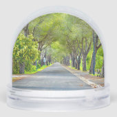 Provence France, Canopy of Trees Over Road Schneekugeln (Rückseite)