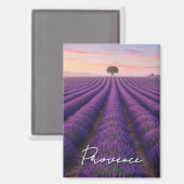 Provence France Lavender Fields Magnet (Vorderseite/Rückseite)