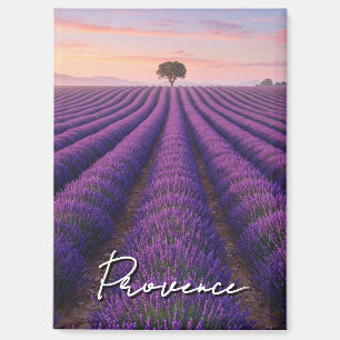 Provence France Lavender Fields Magnet