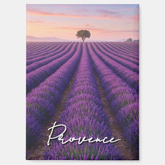 Provence France Lavender Fields Magnet (Vorderseite)