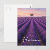 Provence France Lavender Fields Postkarte (Vorne/Hinten)