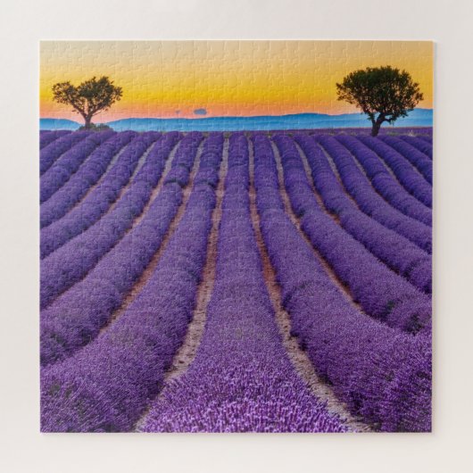 Provence, Frankreich.Plateau von Valensole. Puzzle (Horizontal)