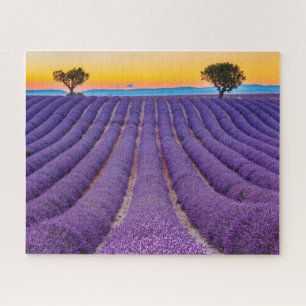 Provence, Frankreich Plateau von Valensole. Puzzle