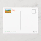 PROVENCE FRANKREICH POPPIERFELD POSTKARTE (Rückseite)