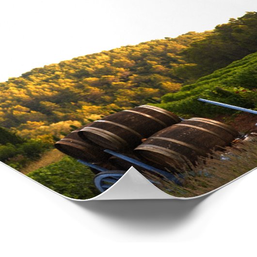 Provence, Frankreich Poster (Ecke)