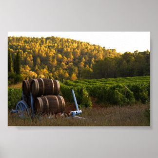 Provence, Frankreich Poster