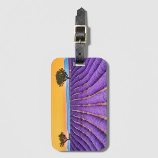 Provence Gepäckanhänger (Vorderseite Vertikal)