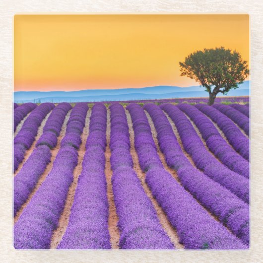 Provence Glasuntersetzer (Vorderseite)