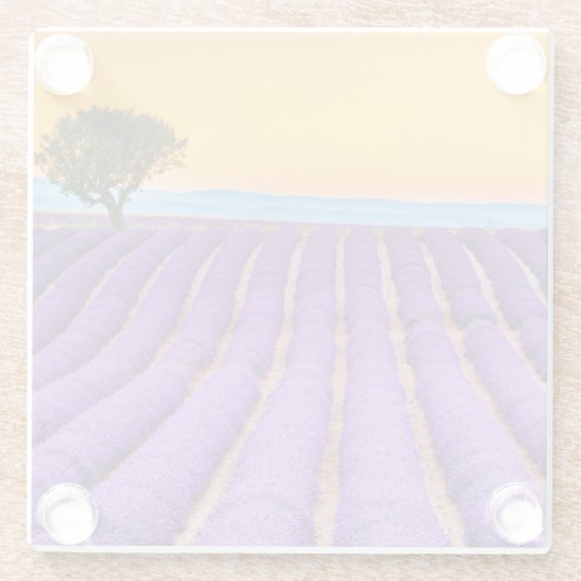 Provence Glasuntersetzer (Rückseite)