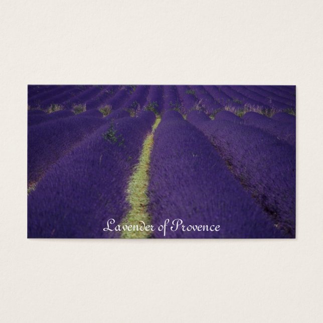 Provence-Lavendel (Vorderseite)