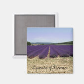 Provence-Lavendel Magnet (Vorderseite/Rückseite)