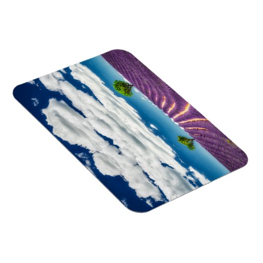 Provence Magnet (Rechte Seite)