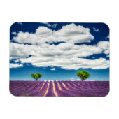 Provence Magnet (Horizontal)
