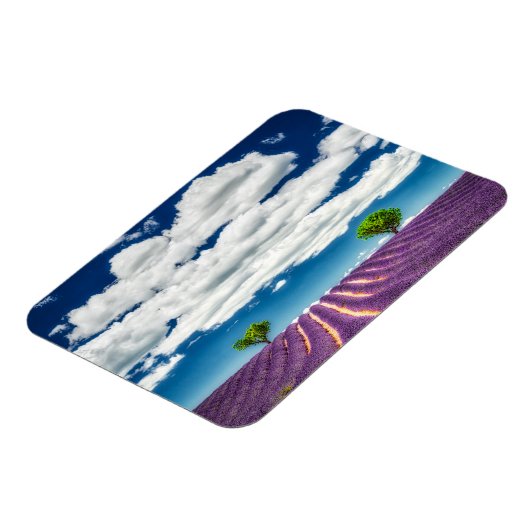 Provence Magnet (Linke Seite)