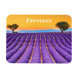 Provence Magnet