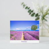 Provence Postkarte (Stehend Vorderseite)