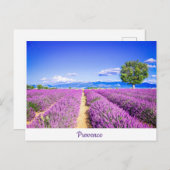 Provence Postkarte (Vorne/Hinten)