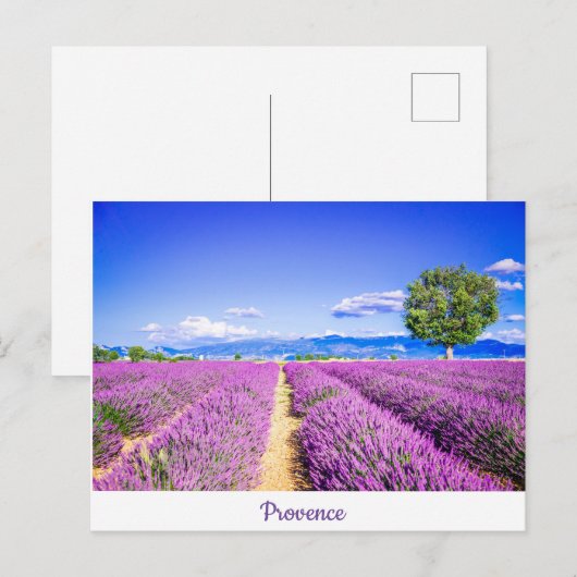 Provence Postkarte (Vorne/Hinten)