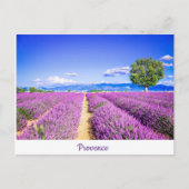 Provence Postkarte (Vorderseite)