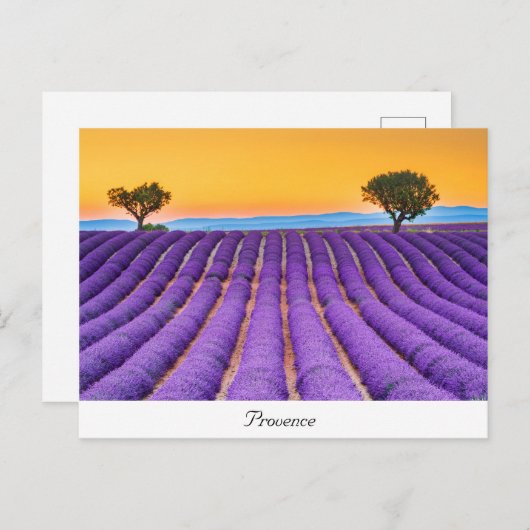 Provence Postkarte (Vorne/Hinten)