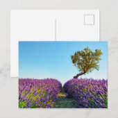 Provence Postkarte (Vorne/Hinten)