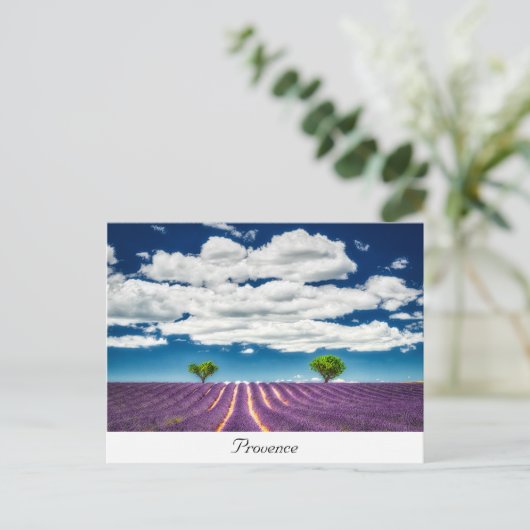 Provence Postkarte (Stehend Vorderseite)