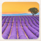 Provence Rechteckiger Pappuntersetzer (Vorderseite)