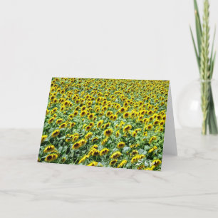 Provencial Sonnenblumen Karte