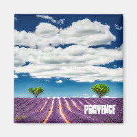 Provenzmagnet, Valensole Lavendel