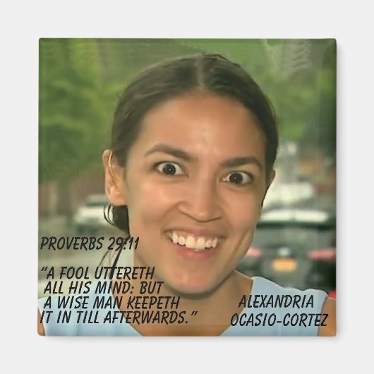 PROVERBEN 29:11 MAGNET (Vorne)