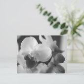 Proverbs 10:12 Orchid Postcard Postkarte (Stehend Vorderseite)
