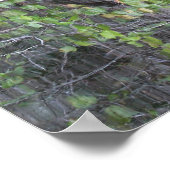 Proverbs 27:19 Schrift drucken Poster (Ecke)